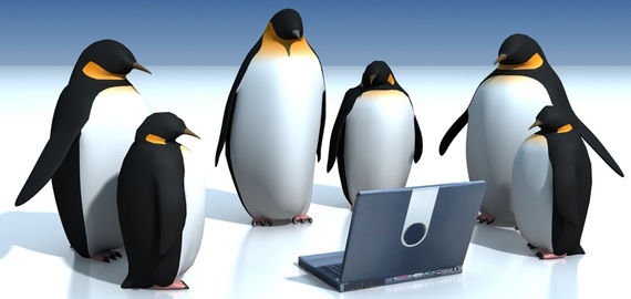 Google Penguin Update Targets WebSpam