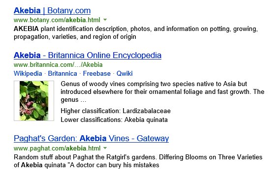 Britannica Online Encyclopedia in Bing Results Page